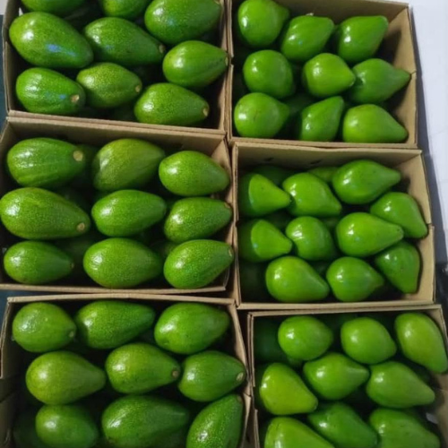 Certified organic produce from Uganda