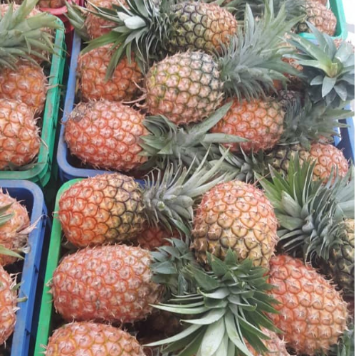 Fresh Ugandan tropical fruits