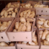 Frozen Yams