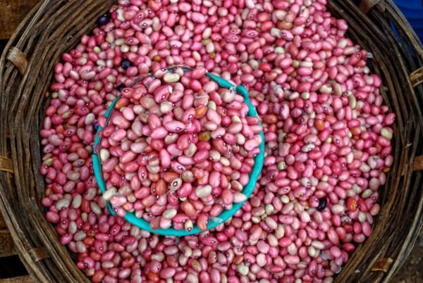 pexels-photo-35553036-35553036 Top view of a basket filled with vibrant pink beans, highlighting their fresh and natural appeal.