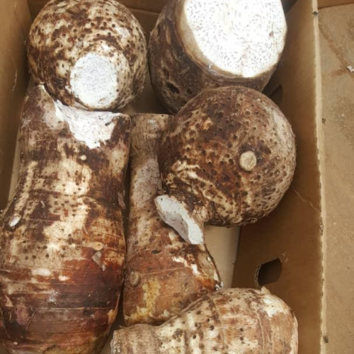 Frozen Yams